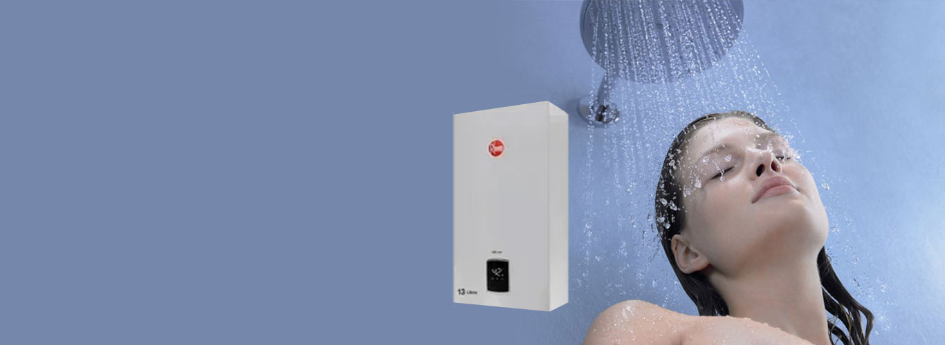 Reparacion y Mantencion de Calefont